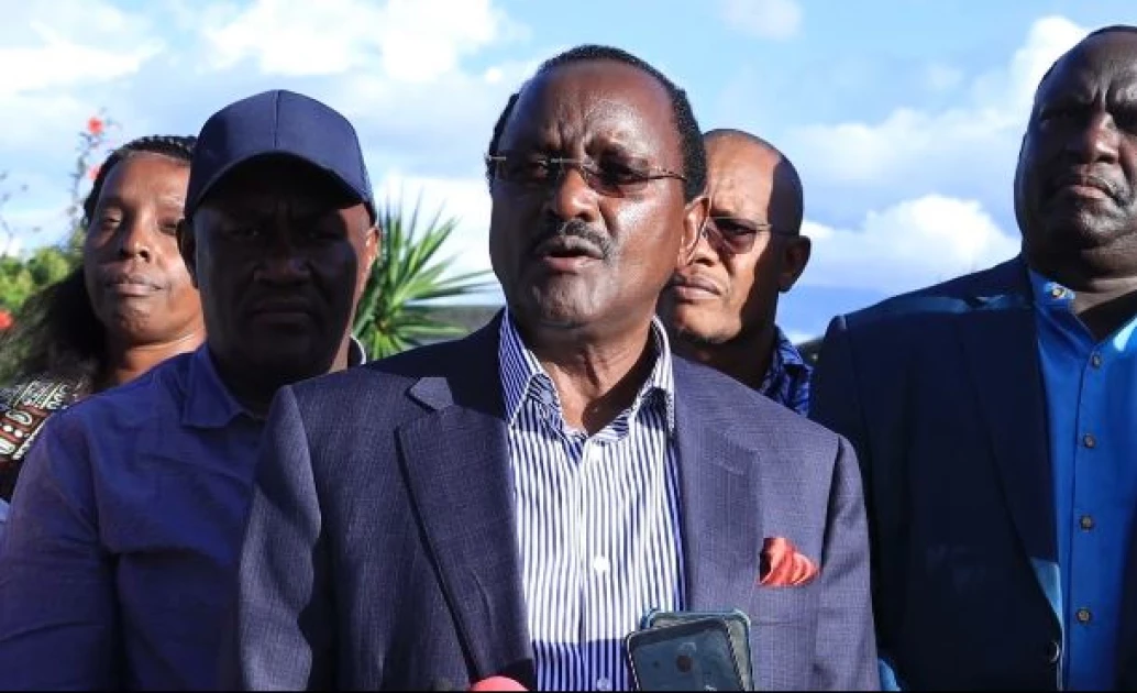 Kalonzo calls for swift resolution of doctors strike, slams gov't for having 'misplaced' priorities - Vimarsana News