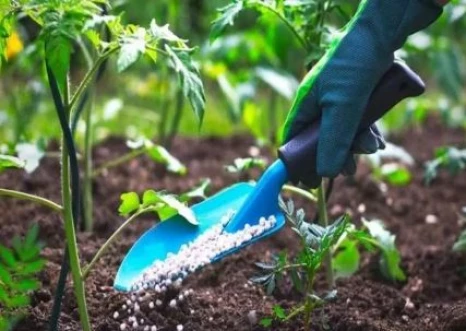 Kenya to host Fertilizer and Soil Health Summit 