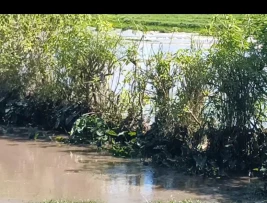Man dies in flooded swamp in Kirinyaga County