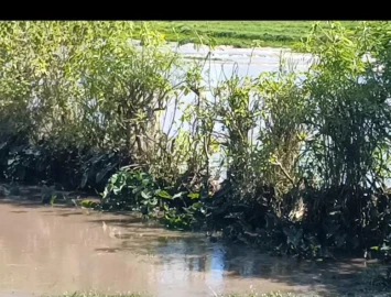Man dies in flooded swamp in Kirinyaga County