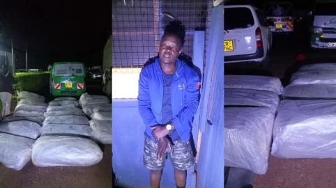 One arrested as bhang valued at Ksh.37 million nabbed in Kisii 