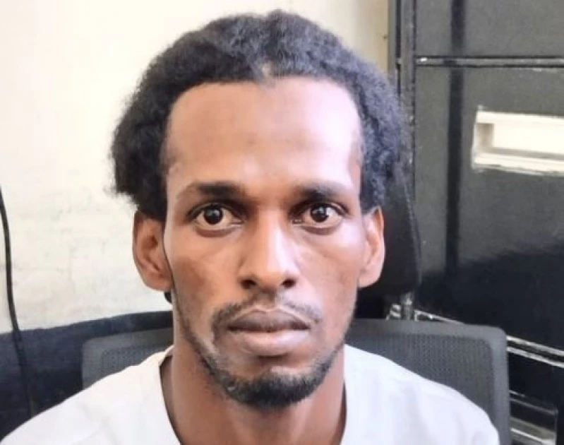 Terror suspect behind brutal killings in 2019 arrested