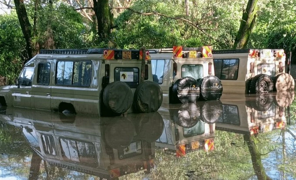 'No human casualties', Maasai Mara Association refutes reports of tourist deaths in floods