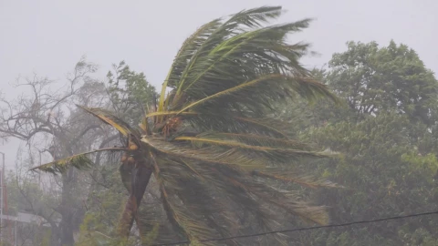 Met Dept warns of heavy rainfall, strong winds and ocean waves until Wednesday