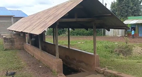 Kirinyaga: 12-year-old boy dies after slipping into cattle dip