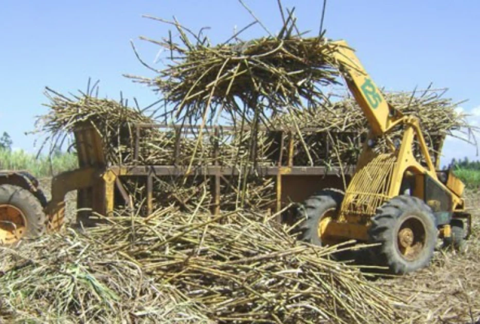State temporarily halts sugar milling operations in Western region