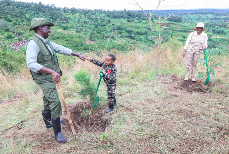 Environmental conservation is the answer to climate change challenge - Ruto