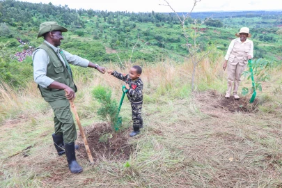 How gov't officials marked tree planting holiday countrywide