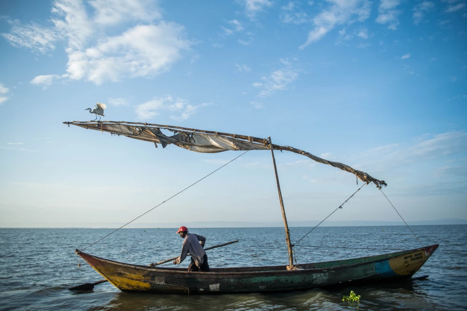 BWIRE: There is urgent need to put the interest of fish farmers on national agenda