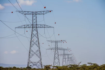 Marker balls: What are the bright ‘balloons’ hanging on power lines?