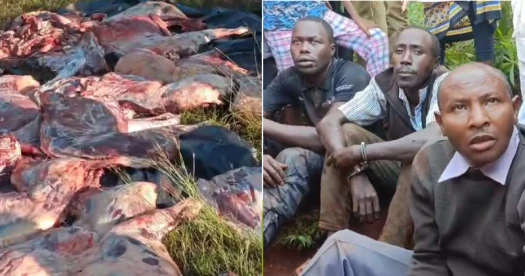 Four arrested slaughtering 30 donkeys, confess to selling meat at Nairobi's Burma Market - VIDEO