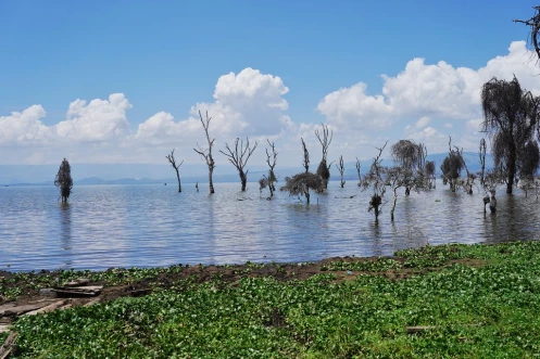 Homes flooded, disease outbreak looms as Lake Naivasha water rises 