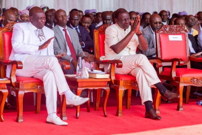 Petitioners seek referendum to end President Ruto, DP Gachagua's terms 