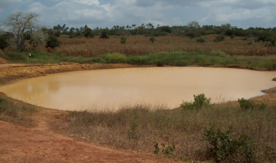 Kericho: Man who went missing on Sunday found dead