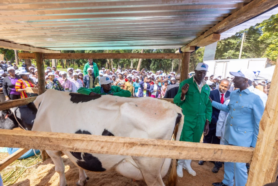 Gov't committed to supporting farmers - President Ruto