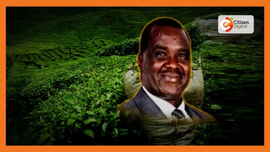 High Court suspends swearing-in of John Chebochok as Director of Toror Tea Factory