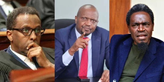Moses Kuria fires back at lawyers Havi, Ahmednasir over 'dismissed CSs can't hold any office' remarks