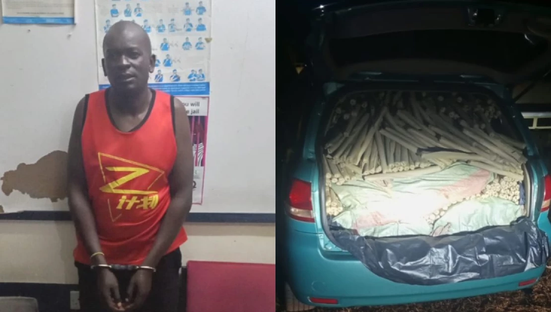 Suspected Drug Trafficker Arrested With Bhang Worth Over Ksh.11M