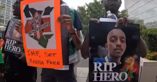 Kenyans in Washington protest at IMF office over ‘economic interference’