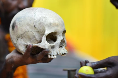 Suspected thief arrested in Nyeri with human skull, leads police to dumped body