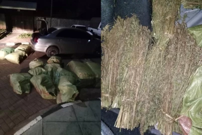 Three suspected drug traffickers arrested in Murang’a, 15 sacks of bhang seized
