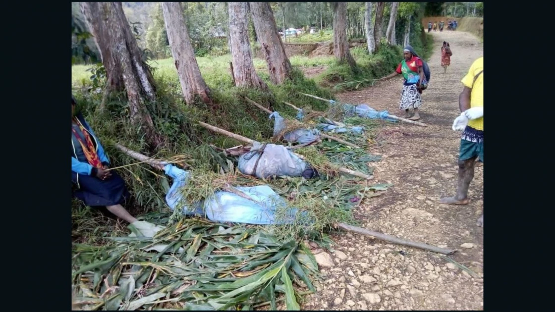 Papua New Guinea village attacks kill 26, including 16 children: UN