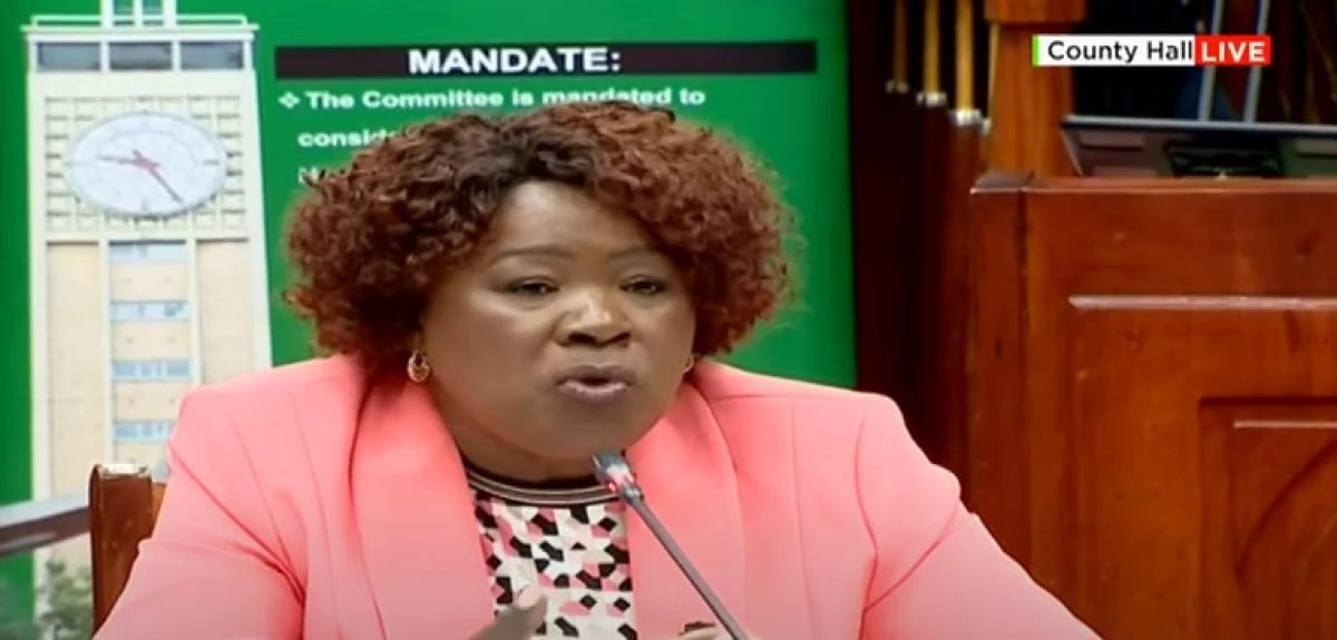 We expect Ksh.65B per year from Housing Levy - Lands CS nominee Alice Wahome