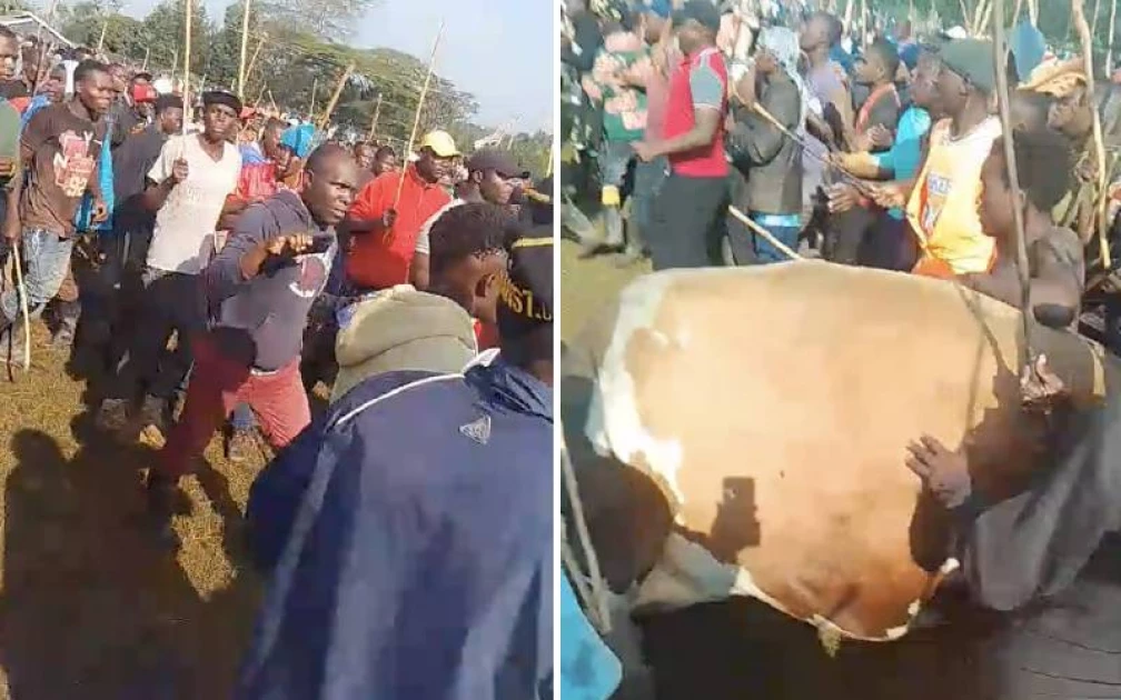 Bullfighting event turns tragic in Kakamenga