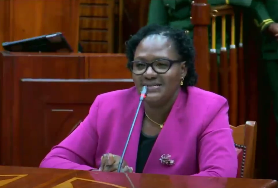 Committee on Appointments rejects Stella Soi's nomination as Gender CS