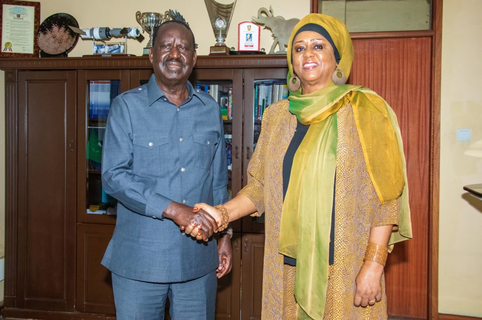 Somalia's AUC Chair candidate backs Raila after dropping out of race