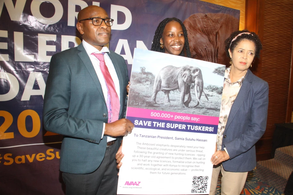 Conservationists demand end to Elephant trophy hunting in Tanzania