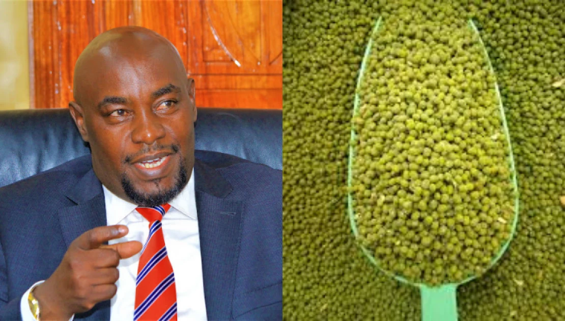 Mung Beans Bill: 'Only large scale traders will pay for licences,' Senator Wambua clarifies