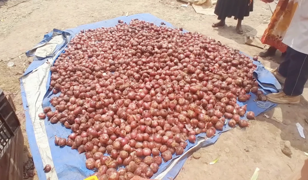 Kinangop onion and tomato farmers decry low produce prices, cite unfair competition from Tanzanian traders