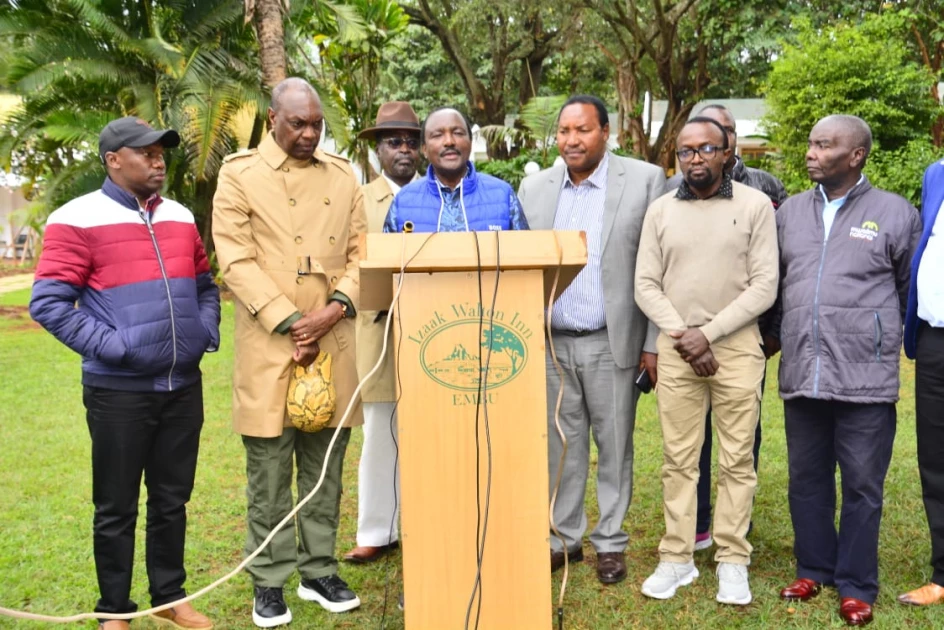 Affiliated parties demand exclusion of ODM from Azimio coalition