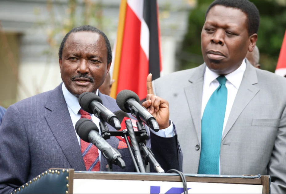 Kalonzo announces opposition to form shadow Cabinet