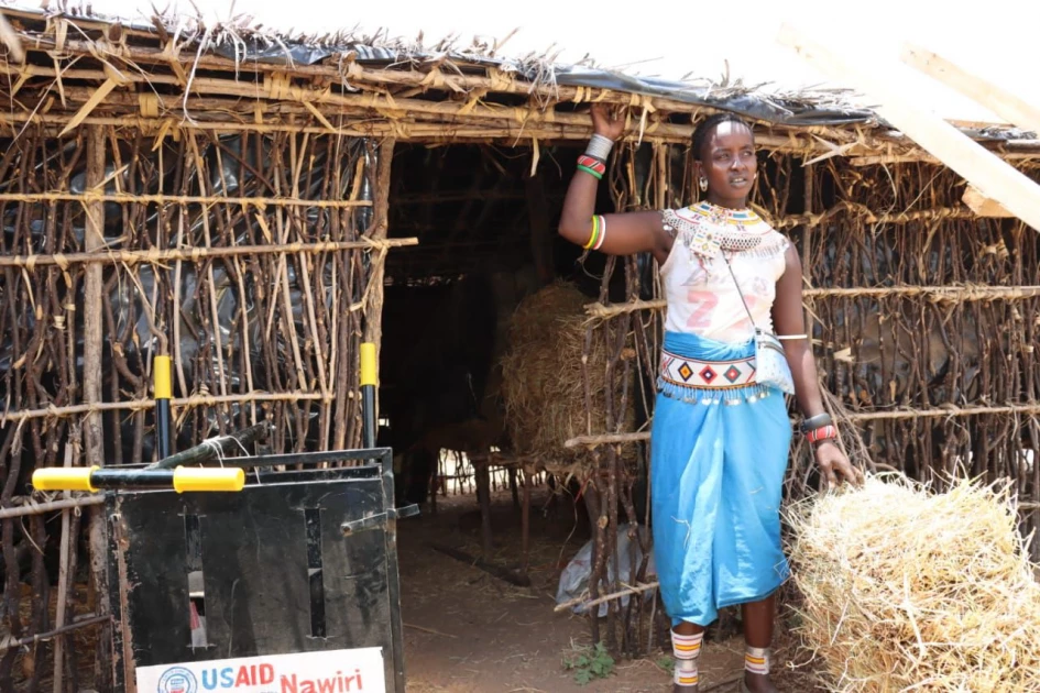 How pasture farming is curbing hunger and malnutrition in Samburu