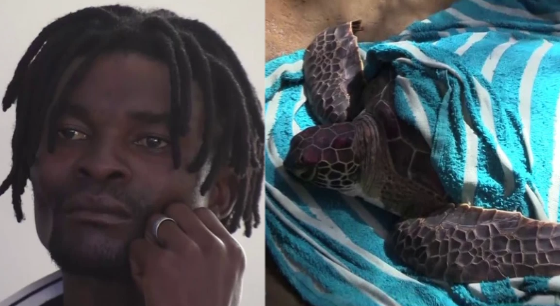 Malindi: Man arrested for illegal possesion of endagered turtle 