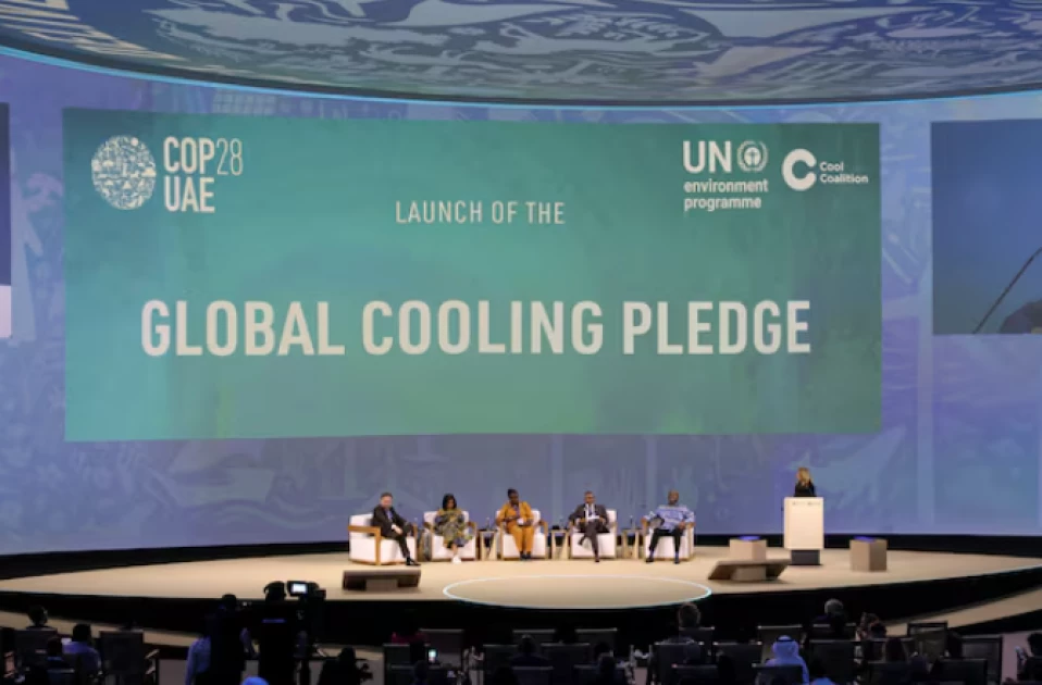 Africa's bold demands at COP29: A call for ambitious climate finance