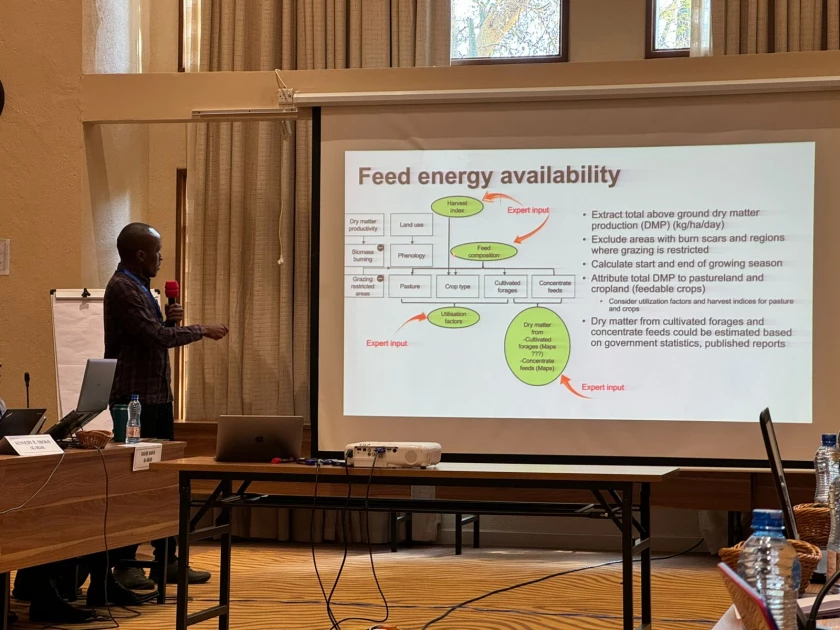 ILRI and University of Edinburgh propose spatial modelling and surveys for feed inventory, balance assessment