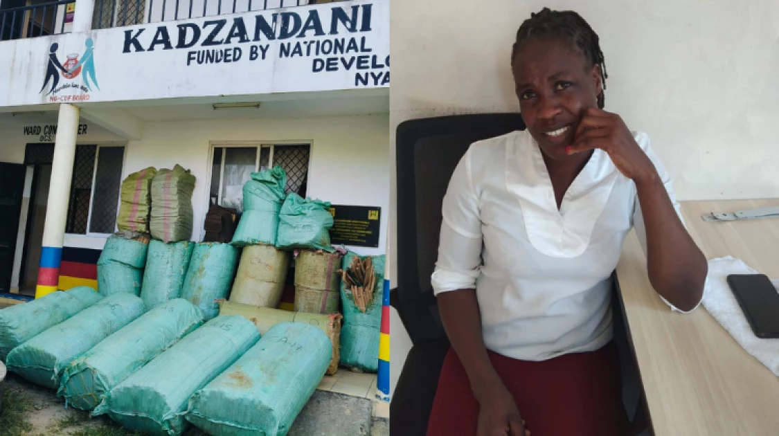 One person arrested as police seize bhang worth over Ksh.25M in Mombasa