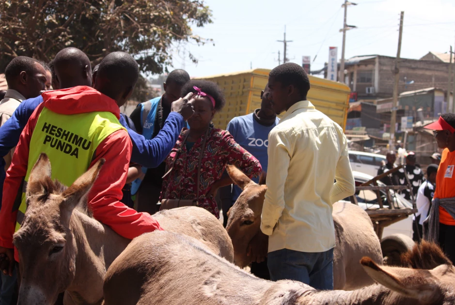 World Animal Day: Youthful donkey owners receive life skills training in Kiambu