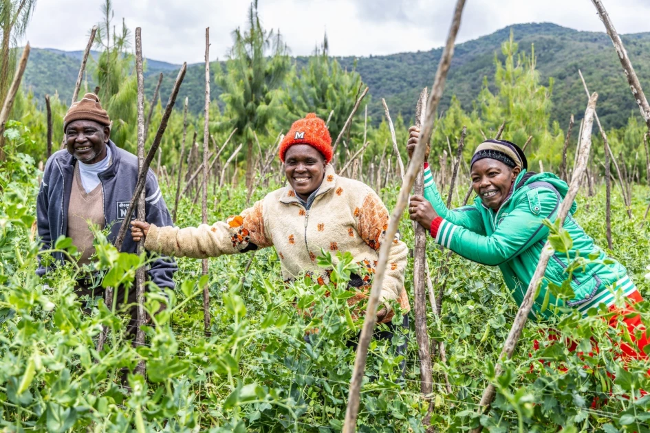 World Food Day: Advancing towards a nature-positive food system, better life and better future