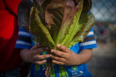 Costly diets: Lack of resources in food systems hamper right to food