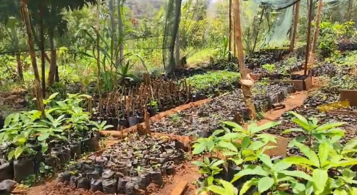 A solar-powered farm in Kenya shows how to restore biodiversity