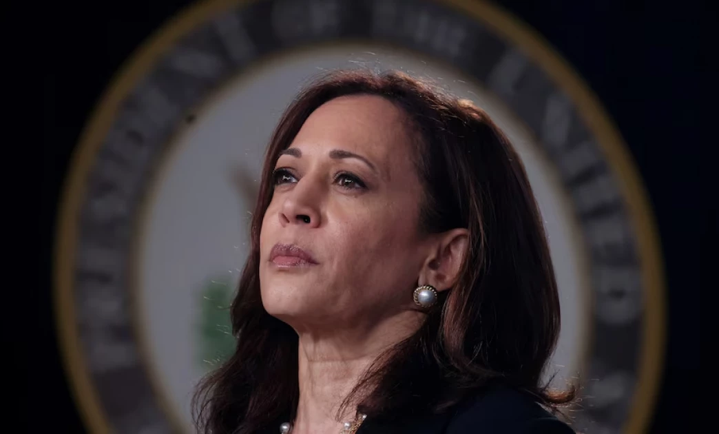 Kamala Harris made a historic dash for the White House. Here’s why she fell short.