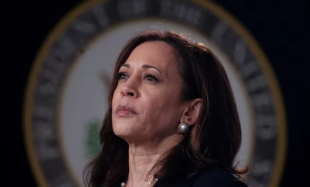 Kamala Harris made a historic dash for the White House. Here’s why she fell short.