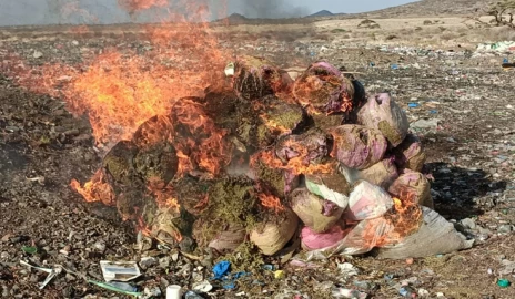 Bhang worth over Ksh.12 million destroyed in Marsabit