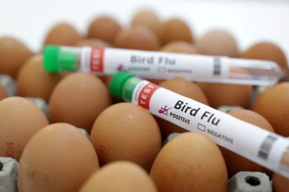 Canada reports first case of bird flu in a person