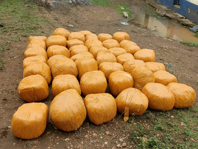 Isiolo: Police nab 220kg of bhang worth Ksh.6M in major bust