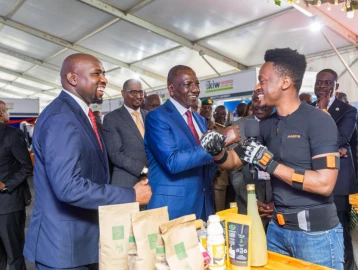 We're using technology and innovation to create jobs - President Ruto